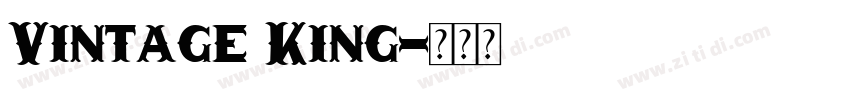 Vintage King字体转换